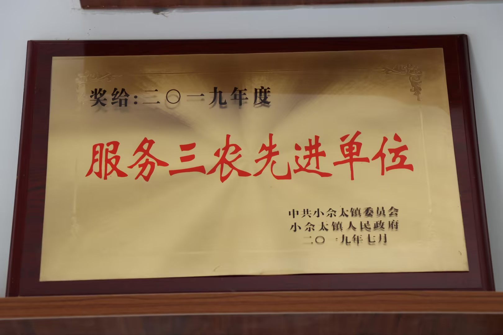 效劳三农先进单位